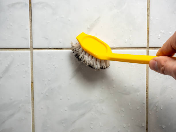 Best Health and Safety Mold Remediation in Bonnie Brae, IL