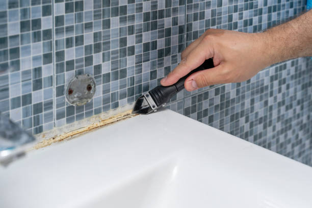 Best Kitchen Mold Remediation in Bonnie Brae, IL
